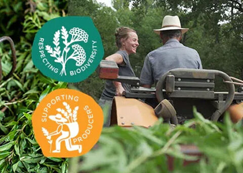 OUR VERBENA PRODUCERS